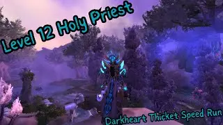 Level 12 Holy Priest Speed Run Darkheart Thicket (Cleared 6:13)