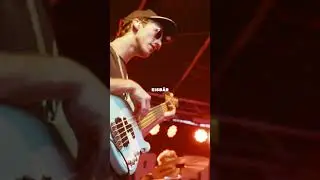 Brew Berrymore - Eisb&auml;r (Grauzone Cover)