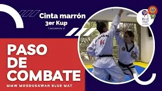 Pasos de Combate para Cinta Marr&oacute;n Moo Duk Kwan Taekwondo Secuencia 1 #BlueMatAcademy