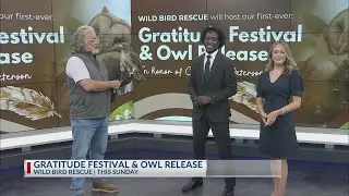 Gratitude Festival & Owl Release 11/11/25