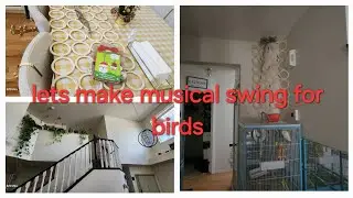 Crafting a Musical Swing for 🦜: A Fun DIY Project