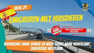 Dierenvervoer Nederland&ndash;Spanje | Katten Verhuizen & Emigratie Vlog | Dierentaxi Westland&rdquo; | Vlog 21