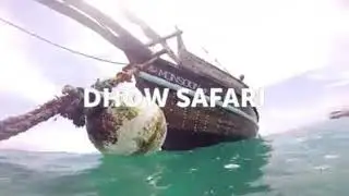 WASINI ISLAND,KENYA ||  KISITE MARINE PARK