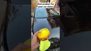 Best Car Polish In Budget #shorts
