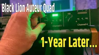 Black Lion Auteur Quad 1 Year Follow-Up