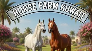 unique Reaction is live horse farm kuwait 🇰🇼 part 5
