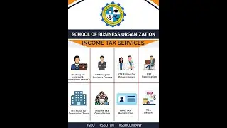 SBO Income Tax services Detail Explanations #SBO #sbojobs  #sbotvm #sbocompany
