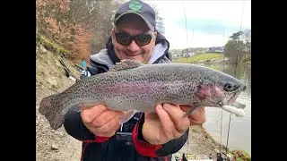 Ловля Форели на силикон.Wallerstube Obersteinebach. Daiwa Presso Limited AGS63UL 0,8-3,5g