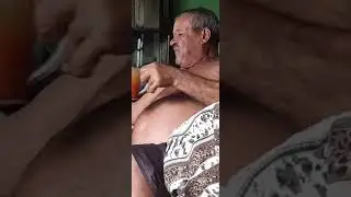 o almoço de papai