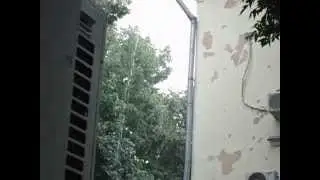 MOV04801