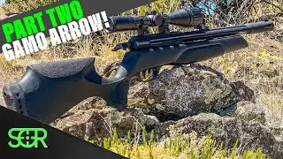 ЛУЧШИЙ БЮДЖЕТНЫЙ PCP В 2022 ГОДУ! - ОБЗОР Gamo Arrow - ТОЧНОСТЬ НА 50 ЯРДАХ - Chrony #s и многое ...