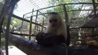 Living in a Land of Make Belize GoPro