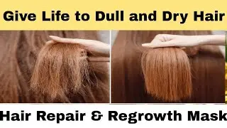 Hair Repair Mask| Super Fast Hair Growth Mask For Long Hair | Hair Growing Mask