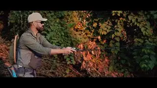 Trout River Fishing in Austria | Filmed on a Nikon Z 6 (10bit N-LOG) + Atomos Ninja Flame | FCPX