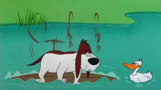 Duck.wmv