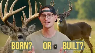 Growing Bigger Bucks: Breaking Down Deer Genetics, Age & Nutrition (Does)
