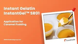 Using our Instant Gelatin to upgrade your caramel pudding production process