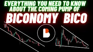 Everything You Need To Know About The Coming Pump Of Biconomy  BICO