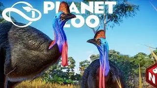 🔴Planet Zoo - Шлемоносный казуар, Австралия! #20