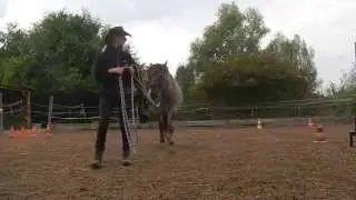 Antischrecktraining mit raschelndem Regenmantel