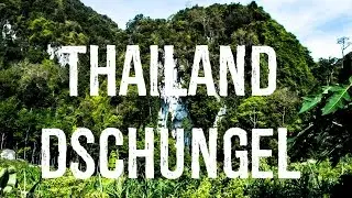 Dschungel Tour - Thailands wilder S&uuml;den - HD