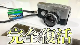 【フィルムカメラ】光漏れは直ったのか？修理後初めての現像結果を一緒に確認しよう！【オリンパス PEN-FT】