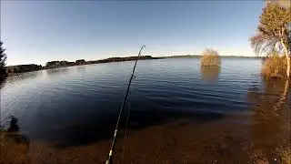 NEW ZEALAND TROUT FISHING ITS YESTERDAY ONCE MORE 12