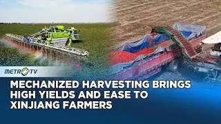 Automation in Xinjiang Fields Transforms Rural Life and Labor