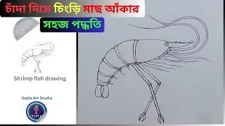চিংড়ি মাছ আঁকার সহজ নিয়ম | shrimp fish drawing | easy drawing | prawn | Sadia Art Studio