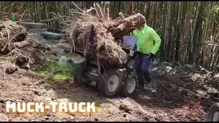 Muck-truck Flatbed moving Stump