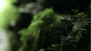 Emancipator/Planet Earth Music Video