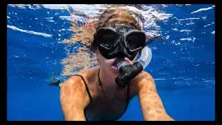 Deep BLUE Eco Tour Shark Dive Oahu-2023