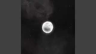 Stranded on the Moon