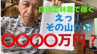 山林売買価格