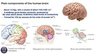 NeuroElectromagnetic (Full Version)