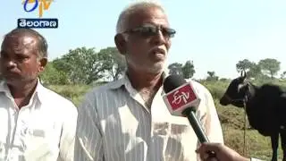 Power Connection for Agriculture ; Corrupt Officials in Electricity Looting Purses of Farmers