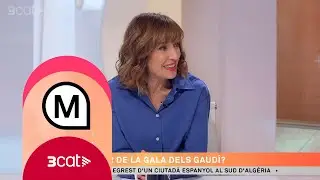 Quina pot ser la millor pel&middot;l&iacute;cula dels Gaud&iacute;? - Els matins