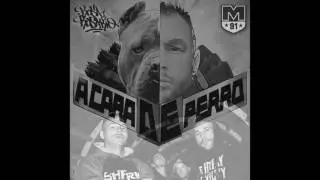 Rosa Rosario - A Cara De Perro (prod. by Accion Sanchez) Audio Oficial