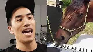 I wrote a song with a horse who plays piano