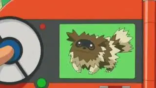 Zigzagoon Pokedex Entry no.263