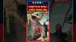 Cyclone Montha | Police Clear Fallen Trees and Restore Traffic in Bapatla | బాపట్లలో మొంథా బీభత్సం