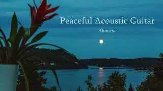 Peaceful Acoustic Guitar [4 hrs, no repeats] Instrumental Music For Relaxation, Stress Relief, Focus