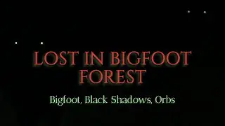 Investigating Bigfoot: Unseen Forces in Ohio's Forest