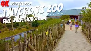 Tycross Zoo Full Walkthrough | Leicestershire