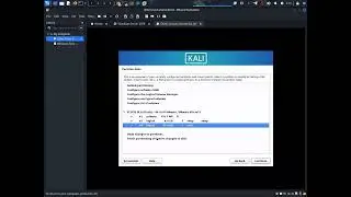 Kali Linux install in VMware with manual partition