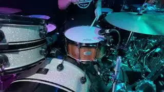 Zebra Drums Walnut 14
