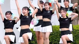 横 4K60p Vivid ⑩ Walking with you / Novelbright 240601 鳥取まちなかビアフェスタ / 風紋広場