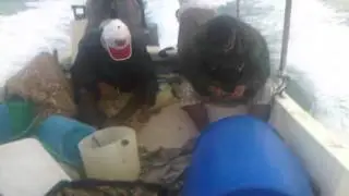 Pearl fishing