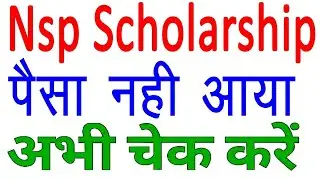 Nsp Scholarship Status Chek #nspscholarship #nspstatuskaisechekkare #nsp 