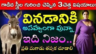 గాడిద స్త్రీల గురించి చెప్పిన మూడు చెత్త విషయాలు వినడానికి అసహ్యంగా ఉన్న ఇది నిజం ప్రతి మగాడు తప్పక